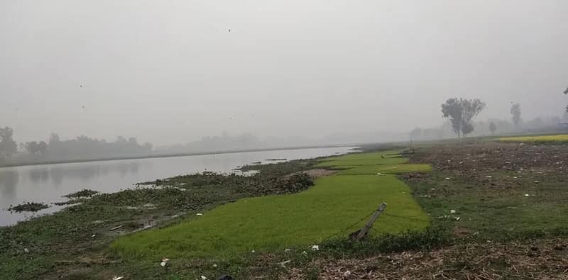 রাজস্ব ফাঁকি দিয়ে হরিরামপুরের গৌড়দিঘি ও মালিয়ান দিঘিতে চলছে দেদার মাছচাষ, আন্দোলনে নামছে কংগ্রেস