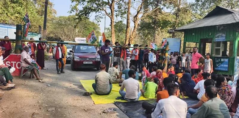 বর্জ্য পরিষ্কার বন দপ্তরের, বন্ধ সাফারি, ক্ষুব্ধ স্থানীয় ব্যবসায়ীরা