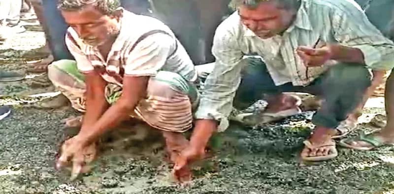 নিম্নমানের সামগ্রী ব্যবহার, রাস্তা  তৈরির কাজ থামাল এলাকাবাসী