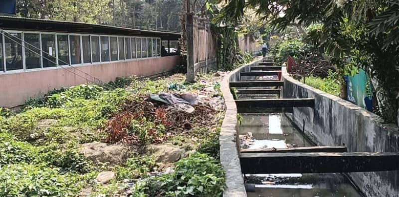ভাঙা প্রাচীর দিয়ে অবাধ যাতায়াত বহিরাগতদের, মিলছে মদের বোতল