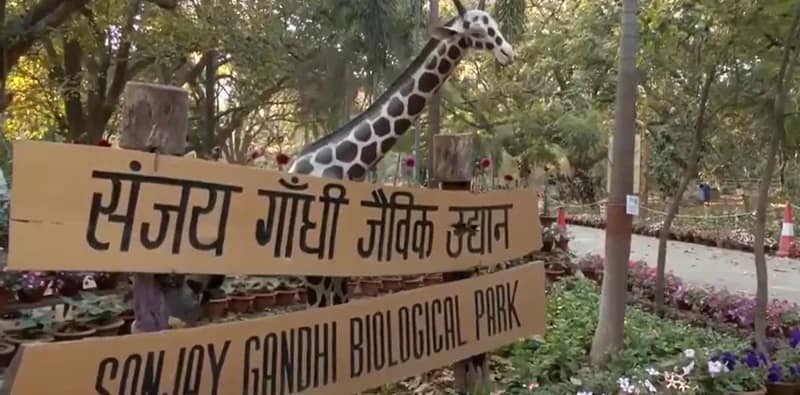 বার্ড ফ্লু সতর্কতার জেরে সাময়িকভাবে বন্ধ করে দেওয়া হল পাটনার সঞ্জয় গান্ধী জীব উদ্যান