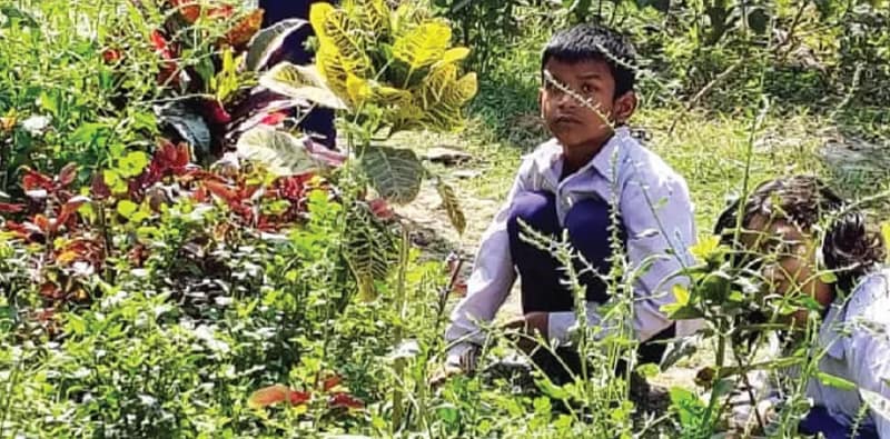 খুদেদের হাতে কিচেন গার্ডেন, হাওড়ার প্রাথমিক বিদ্যালয়ে কৃষিতে হাতেখড়ি