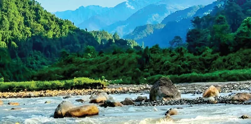 ডুয়ার্সের অচিন গ্রাম ডামডিম