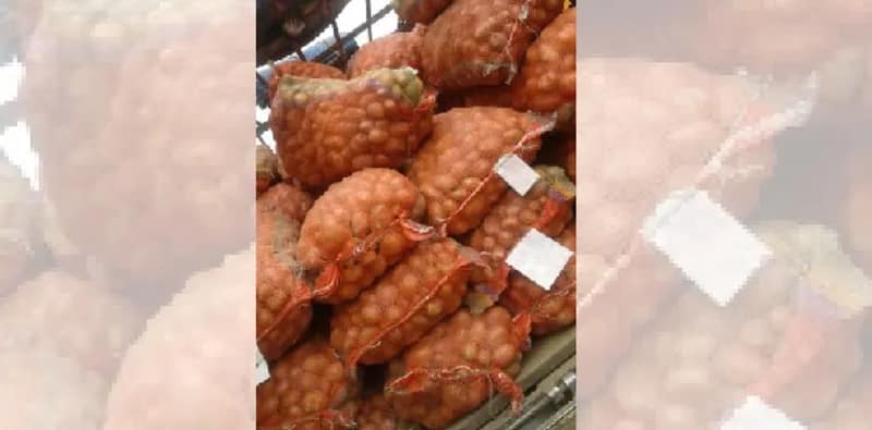 প্লাস্টিক বস্তার দাম বৃদ্ধিতে চরম বিপাকে আলু চাষিরা