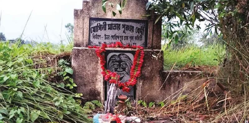 গাছ থেকে ঝরে রক্তলাল তরলের ধারা, নিশুতি রাতে পুজো শুরু ডাকিনী-যোগিনীর