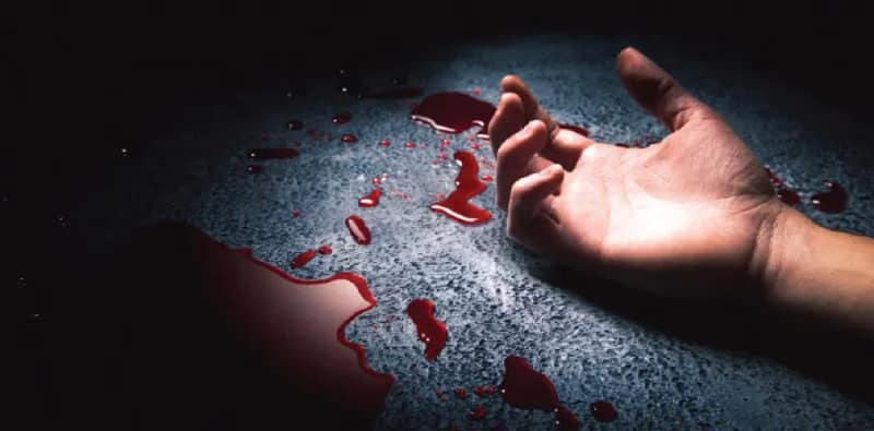 ‘সারপ্রাইজ আছে’, বোনকে খুন করে  মাকে ডেকে আনল ইঞ্জিনিয়ার ছেলে