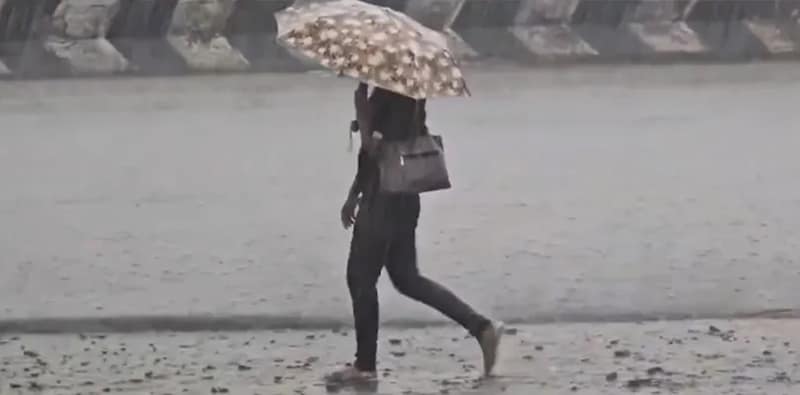 বর্ষার শুরু উত্তরবঙ্গে ২-৩  দিনে, দক্ষিণবঙ্গেও আসন্ন
