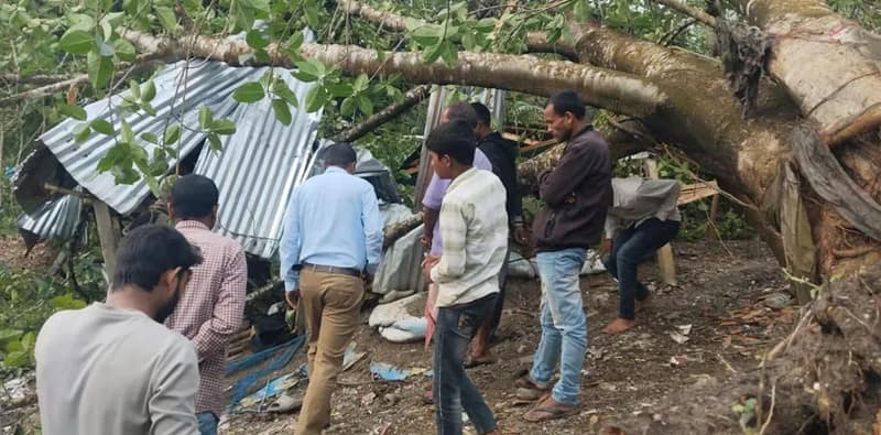 প্রচণ্ড ঝড়, দোকানের উপর পড়ল বটগাছ, যুবকের মৃত্যু