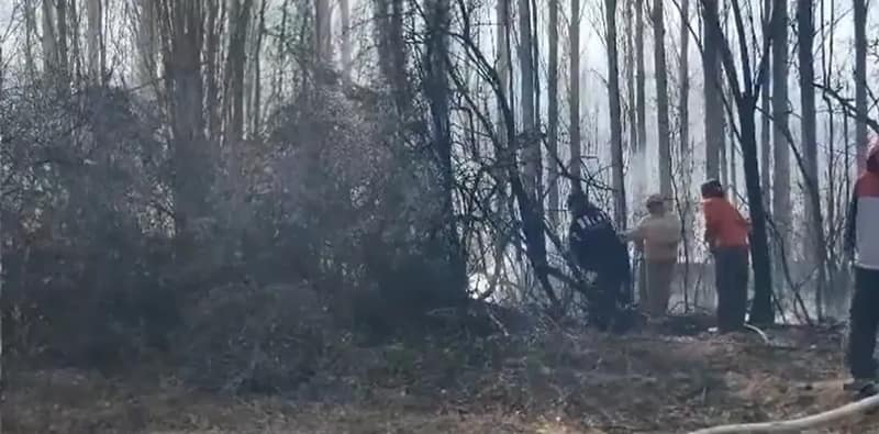লাদাখের লেহ-র থিকসে গ্রামে এক ভয়াবহ অগ্নিকাণ্ডে বিধ্বস্ত জমি এবং হাজার হাজার গাছ