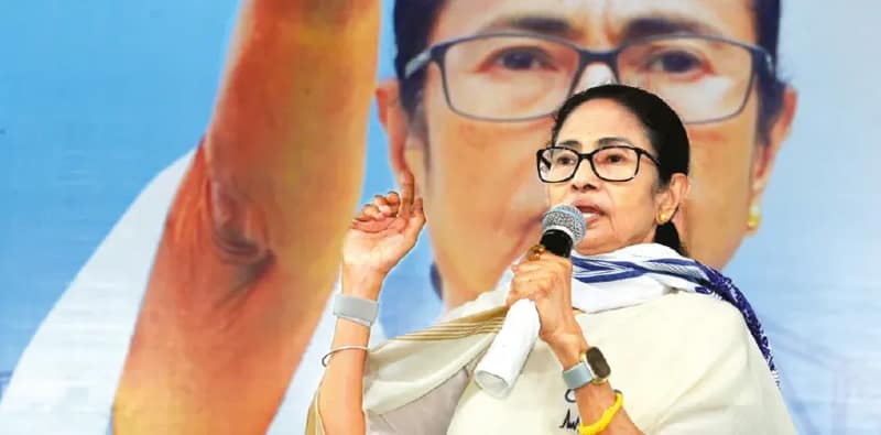 দুঃশ্চিন্তা নয়, আমি আছি আলুচাষিদের আশ্বাস মমতার, 'ক্ষতিপূরণের ব্যবস্থা করব, বাইরে যাবে বাংলার আলু'