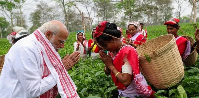 ডিব্রুগড়ে এক চা বাগান পরিদর্শনে প্রধানমন্ত্রী নরেন্দ্র মোদি