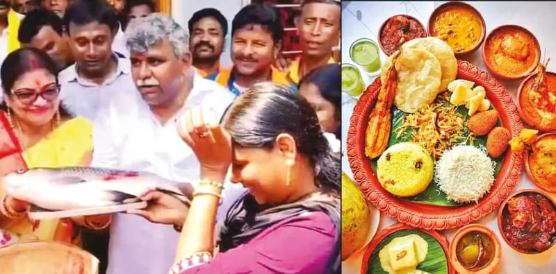 বিজেপির গলার কাঁটা তৃণমূলের ‘মাছে-ভাতে বাঙালি’-র প্রচার
