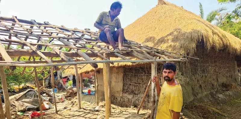 বাঘের কামড়ে আক্রান্ত ও মৃতদের পরিবার  পায়নি ক্ষতিপূরণ, মিলেছে ঘর তৈরির টাকা