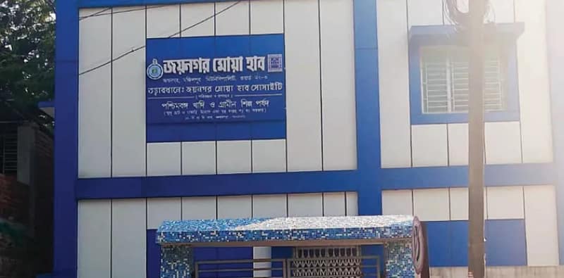 নভেম্বরে মোয়া হাব চালু হবে, দাবি তৃণমূল প্রার্থীর, কটাক্ষ বিরোধীদের