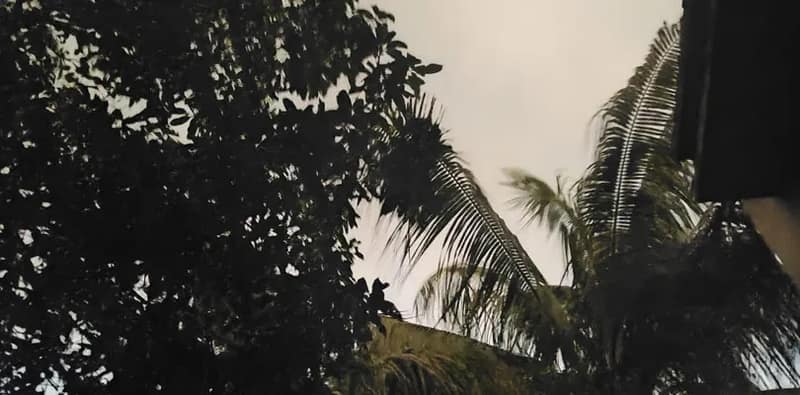বাঁকুড়া, ঝাড়গ্রাম এবং পশ্চিম মেদিনীপুর জেলায় ঝড়-বৃষ্টির কমলা সতর্কতা