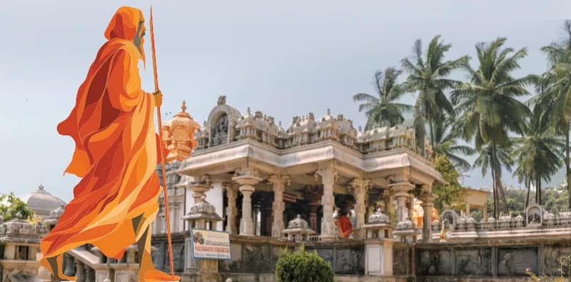 শংকরাচার্য ও সন্ন্যাস