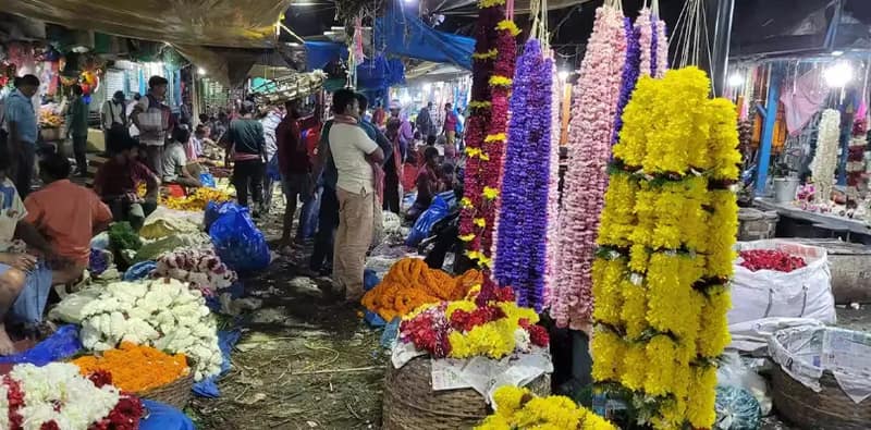 গাঁদা, রজনীগন্ধার চাহিদা আকাশছোঁয়া ভোটে, লাভ বাড়ায় স্বস্তিতে ব্যবসায়ীরা