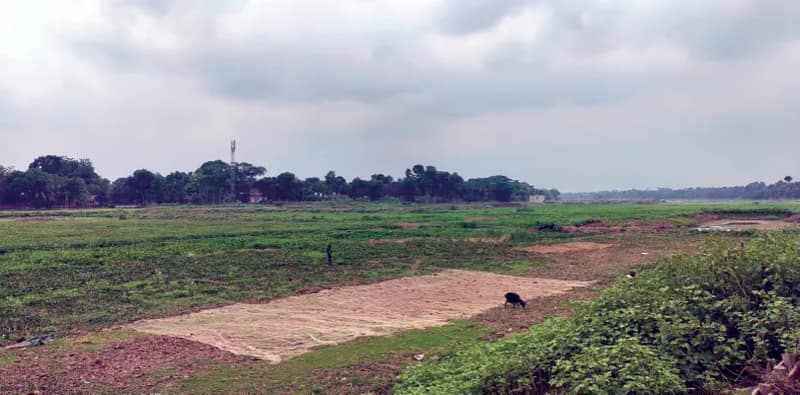 শুকিয়ে গিয়েছে নদী! বাপ-ঠাকুরদার পেশা হারিয়ে বিকল্প বেছে নিয়েছেন মৎস্যজীবীরা