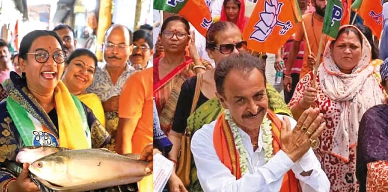 বাজার ঘুরে প্রচার সোনারপুর উত্তরের তৃণমূল প্রার্থীর, উপহার পেলেন মাছ! নতুন জামা মহেশতলার বিজেপি প্রার্থীকে