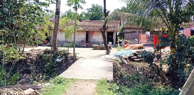 মাছ খাওয়া বন্ধের চেষ্টায় বিজেপি, সল্টলেকের মৎস্যজীবীরা আতঙ্কে, বিধাননগরের কুলিপাড়া-ছয়নাভি-গোরুমারা