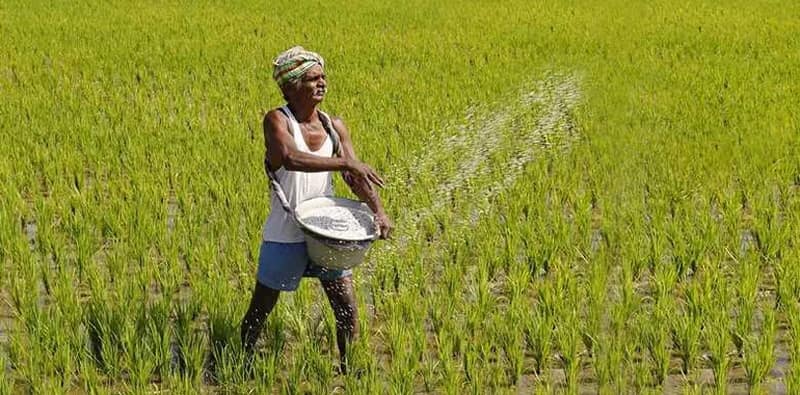 রাজ্যে এক কোটি ১৪ লক্ষ চাষিকে কৃষকবন্ধুর সুবিধা, মোদি-শাহের ‘কুম্ভীরাশ্রু’‌ই সার