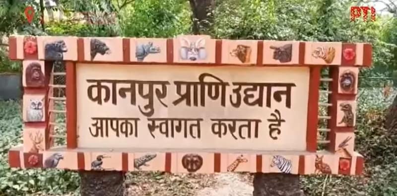 তীব্র তাপপ্রবাহ মোকাবিলায় চিড়িয়াখানায় পশুদের খাদ্যাভ্যাসের পরিবর্তন ও শীতলীকরণ ব্যবস্থা যুক্ত করল কানপুর
