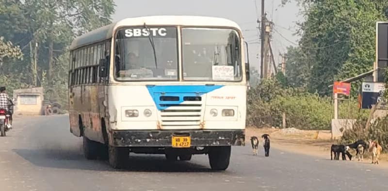 পাঁচ হাজার বাস কিনবে রাজ্য, ঘোষণা দিলীপের