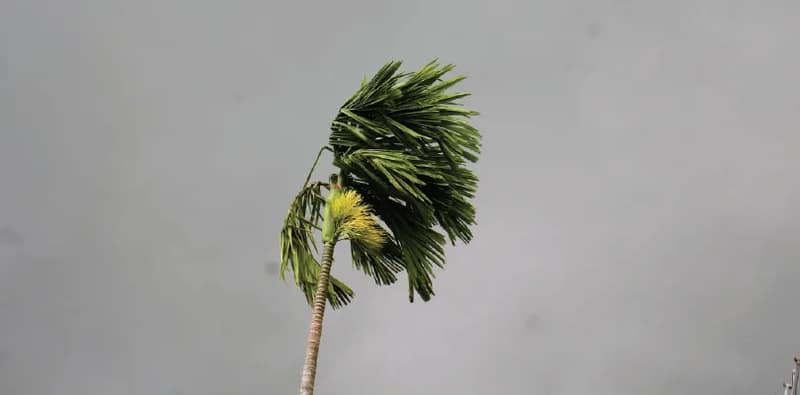 আগামী কয়েক ঘণ্টায় পশ্চিম বর্ধমান জেলায় ঝড়-বৃষ্টির সম্ভাবনা, জারি কমলা সতর্কতা