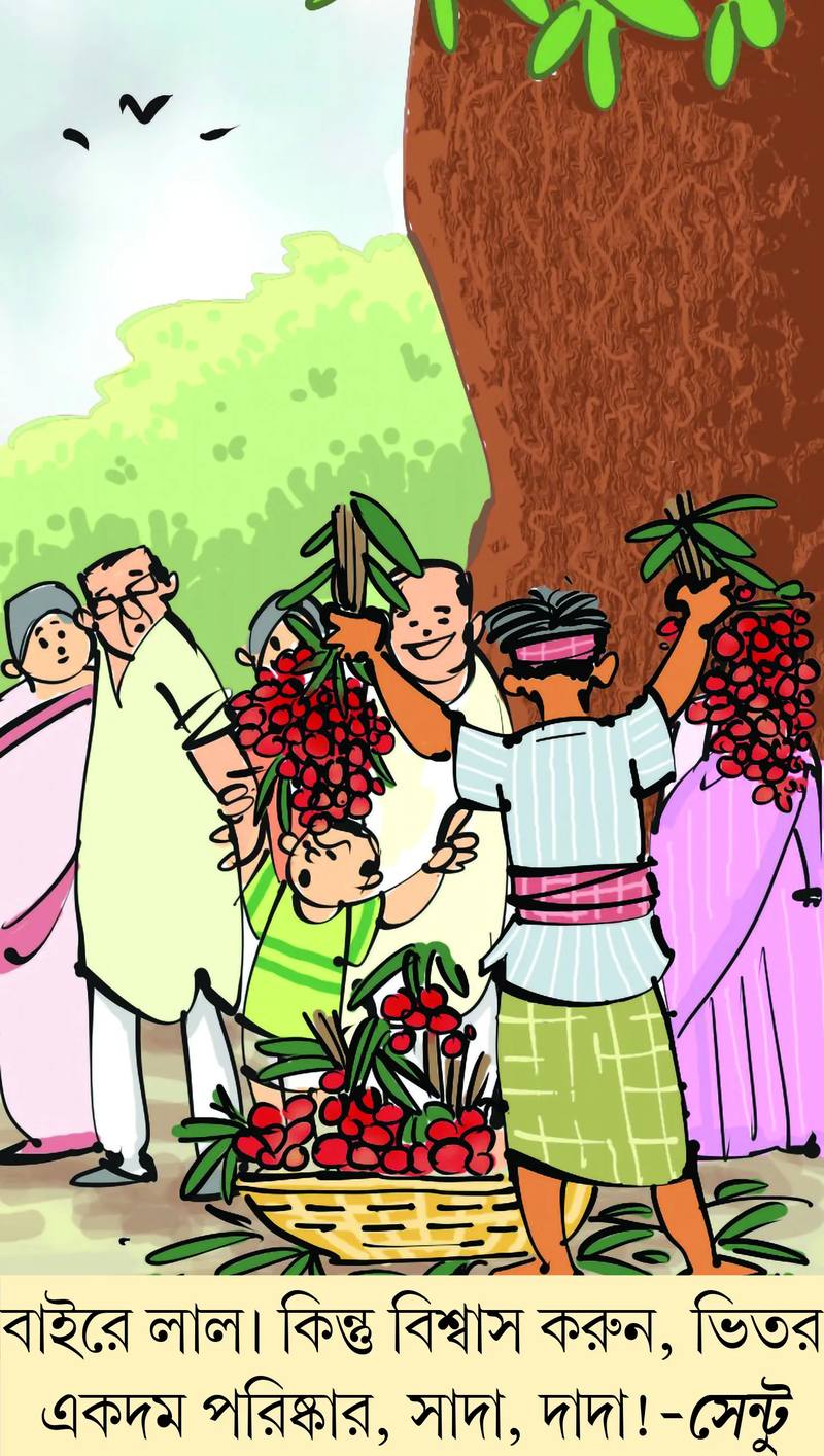 মজারু