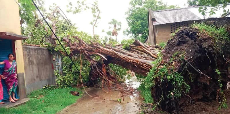 কালবৈশাখীর তাণ্ডবে লণ্ডভণ্ড সিউড়ি, বজ্রপাতে কিশোরী ও প্রৌঢ়ের মৃত্যু