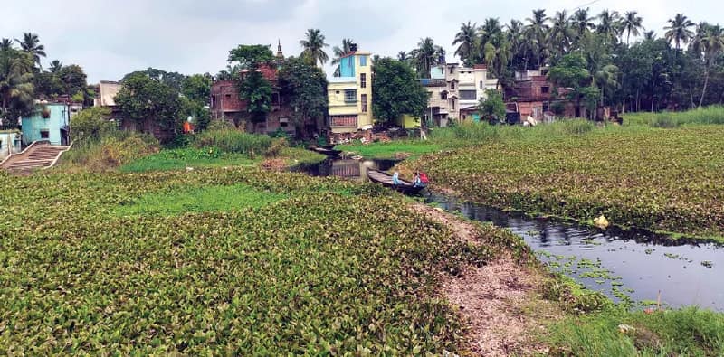 সাফাই করতে হবে নদীর উৎস মুখ,  ইছামতী সংস্কারে জোর রাজ্য সরকারের