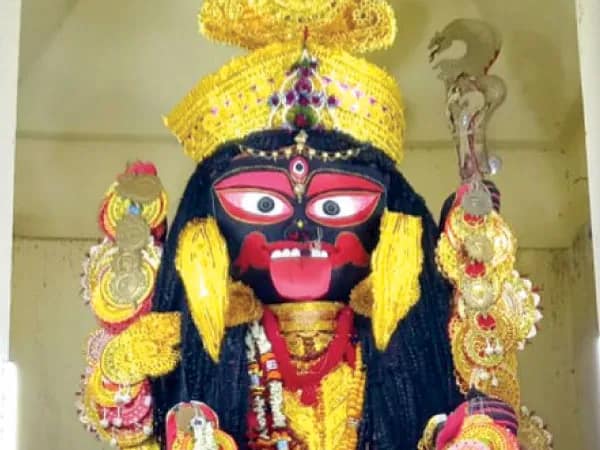 ঐতিহ্যবাহী বারাসতের কালীপুজোয় বন্ধ হওয়া কার্নিভাল চালু হোক, চাইছেন নাগরিকরা