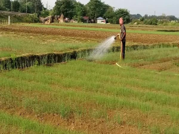 আইআইএম’তে চাষিদের প্রশিক্ষণ দেওয়া হবে, জানালেন পঞ্চায়েতমন্ত্রী