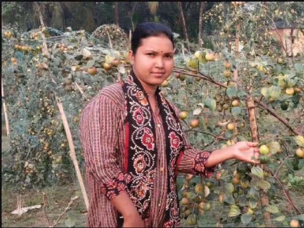 পরিবারের বাধা সত্ত্বেও কুল চাষ করে সফল শীতলকুচির পপি বর্মন
