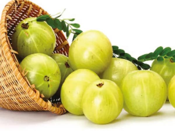 সাধারণ ভেষজেই নিয়ন্ত্রণে থাক সুগার
