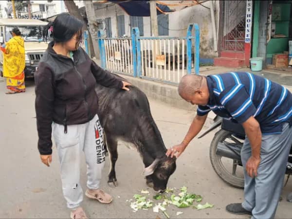 বালুরঘাটে পশুপাখিদের নিয়ে &lsquo;পিকনিক&rsquo;