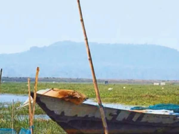 পাখপাখালির হট্টমেলায়&nbsp;মংলাজোরি