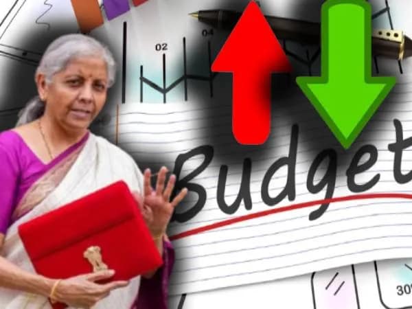 বাজেট ২০২৫: দাম বাড়ল, কমল কোন কোন জিনিসের?