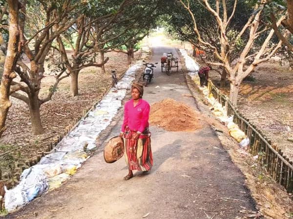 গ্রামের নতুন পিচ রাস্তা ঘিরে আর্থিক উন্নতির স্বপ্ন চাষিদের