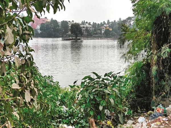 পূর্ব পুঁটিয়ারির ইটখোলায় পুকুর সংস্কারের সিদ্ধান্ত, জমা জলের সমস্যা মেটার আশা