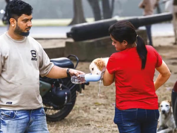 এক যুগের উষ্ণতম জানুয়ারি কলকাতায়