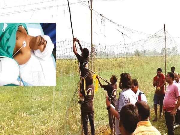 বাঘের বুদ্ধির কাছে &lsquo;হার&rsquo; মানলেন বনকর্মীরা, পুরনো ছকে আর মিলল না সাফল্য
