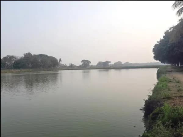 মৎস্যদপ্তরের উদাসীনতায় ধুঁকছে আউশগ্রামে যমুনাদিঘি পর্যটন কেন্দ্র