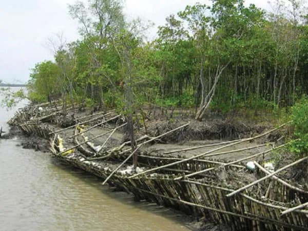 রাজ্য বাজেটে বাঁধ সংস্কারের টাকা বরাদ্দ&nbsp; হতেই আশায় বুক বেঁধেছেন সুন্দরবনবাসী