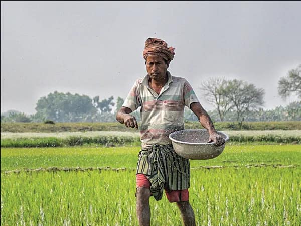 বিল ছাড়াই ইউরিয়া বিক্রি বহুগুণ দামে