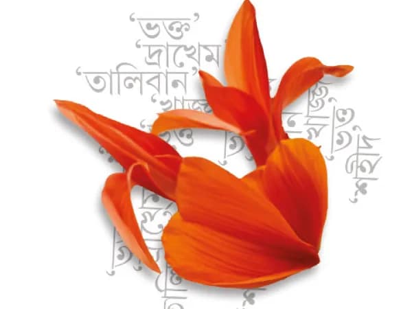 মানে-বদল