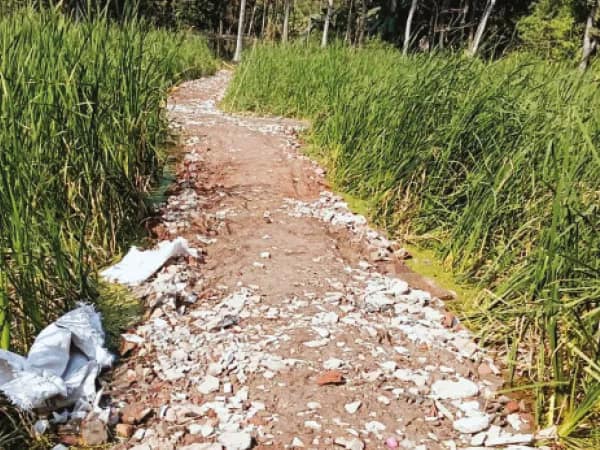 ৫০ কাঠার জলাশয় ভরাটের চেষ্টা,&nbsp; পুকুর নয় নিচু শালি জমি, দাবি কাউন্সিলারের