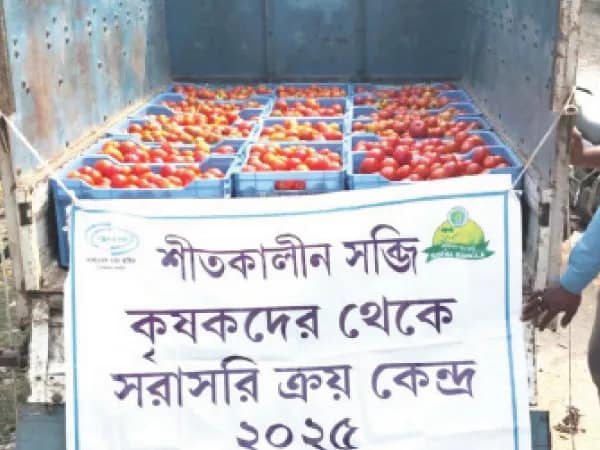 কালনায় ৮ টাকা কেজি দরে টমেটো কিনল কৃষি বিপণন দপ্তর