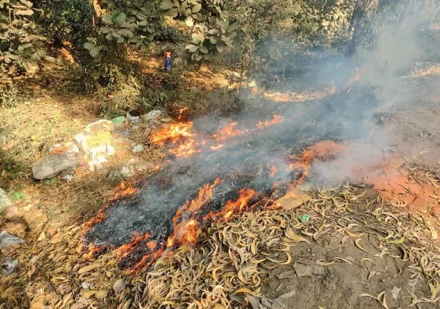 কাঁকসার জঙ্গলে আগুন লাগায় দুষ্কৃতীরা,&nbsp;সচেতনতা প্রচার ও নজরদারি বনদপ্তরের