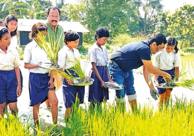 ধান চাষের পাঠ নিতে চারা রোপণ পড়ুয়াদের